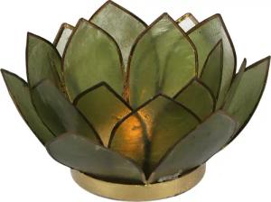 Guru-Shop Windlicht Lotus Teelicht Muschel 14*6