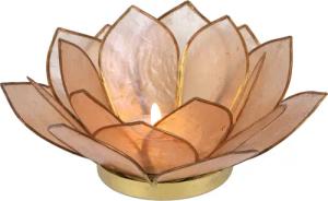 Guru-Shop Windlicht Lotus Teelicht Muschel 14*6