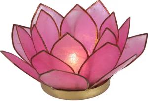 Guru-Shop Windlicht Lotus Teelicht Muschel 14*6