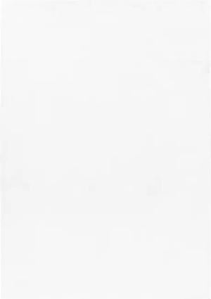 Teppium Teppich Unicolor - Einfarbig, Rechteckig,