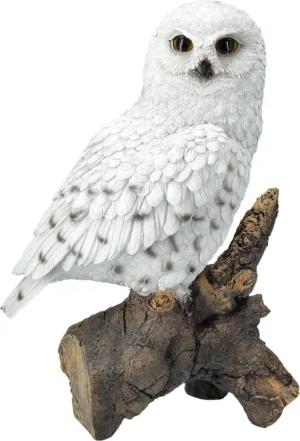 Figuren Shop GmbH Gartenfigur Gartenfigur Eule