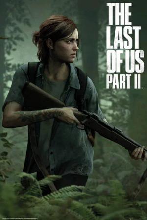 Poster Last of Us, The -