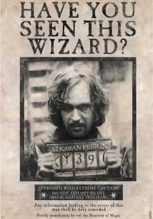 Poster Harry Potter - Poster -