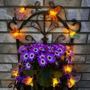Online-Fuchs LED-Lichterkette Outdoor Solar mit 15