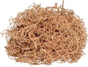 NaDeco Bastelnaturmaterial Curly Moos in Natur,