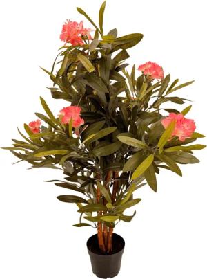 Kunstpflanze - künstliche grüne Pflanze, Blume