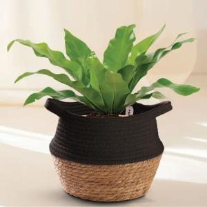 Praknu Aufbewahrungskorb Blumentopf Klein Schwarz S