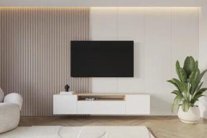 ALTDECOR Lowboard ELIO (1 St., TV-Schrank,