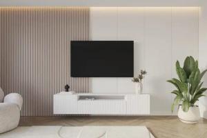 ALTDECOR Lowboard NOA-2 (1 St., TV-Schrank,