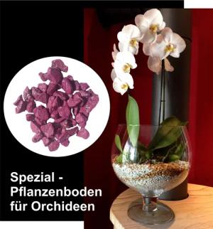 colomi Pflanzgranulat Spezial Pflanzboden für Orchideen