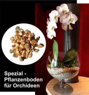 colomi Pflanzgranulat Spezial Pflanzboden für Orchideen