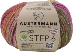 Austermann Step 6-fach Color Kuchenknäuel Häkelwolle,