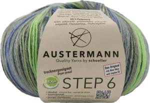 Austermann Step 6-fach Color Kuchenknäuel Häkelwolle,