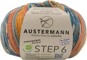 Austermann Step 6-fach Color Kuchenknäuel Häkelwolle,