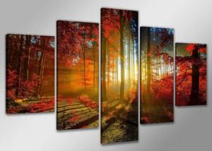 Visario Bild 5 er Set auf