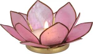Guru-Shop Windlicht Lotus Teelicht Muschel 11*4