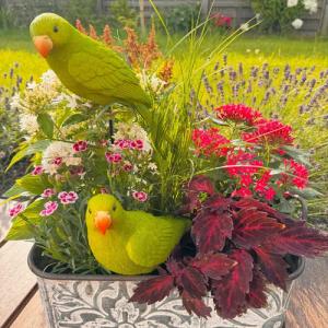 Online-Fuchs Dekofigur Gartenfiguren - 2 Papageien,