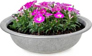 matches21 HOME & HOBBY Blumentopf Zinkwanne