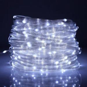 Rosnek LED-Lichterkette 20M-100M,Beleuchtung Lichterschlauch, Party Garten