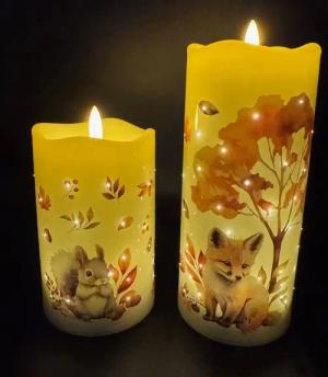 Online-Fuchs LED-Kerze - 2er Set Motivkerzen