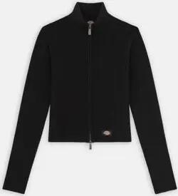Dickies Jacken EAST HELENA RIB