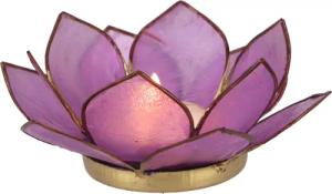 Guru-Shop Windlicht Lotus Teelicht Muschel 11*4