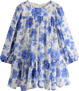 Next Chiffonkleid Langärmeliges Chiffonkleid (1-tlg)