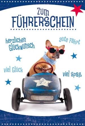 BSB Grußkarten Führerschein - Glückwunschkarte im