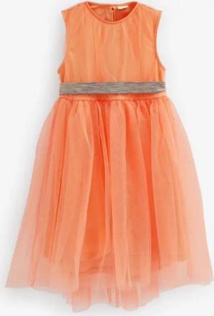 Next Partykleid Partykleid aus Tüll (1-tlg)