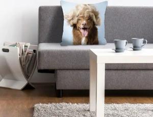 queence Dekokissen "Perry", mit einem Hund mit einer blonden Perücke
