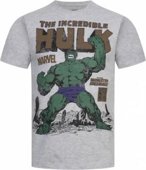 HULK Rage MARVEL Herren T-Shirt FBMTS310SPO