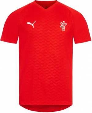 Dänemark PUMA Handball Herren Trikot 754913-01