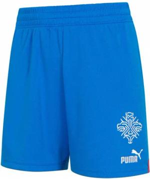 Island PUMA Kinder Heim Shorts 766074-01