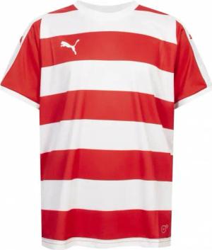PUMA Liga Jersey Hooped Kinder Trikot 703423-01