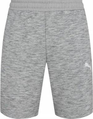 PUMA evoSTRIPE Herren Sweat Shorts 585815-03
