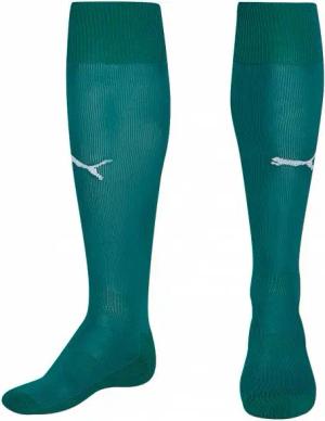 PUMA Team Stutzen 701268-05