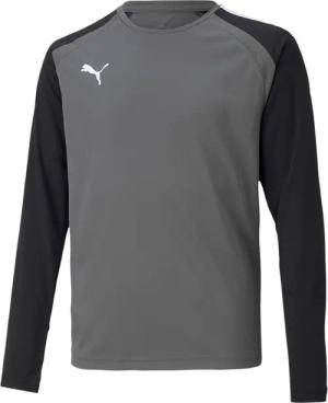 Langarm-Torwarttrikot Puma Team Pacer