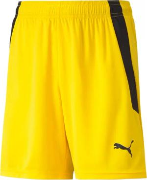Kindershorts Puma Team Liga