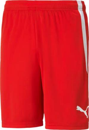 Shorts Puma Team Liga