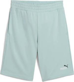 Shorts Puma No. 1 10"