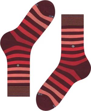 Socken Burlington Blackpool