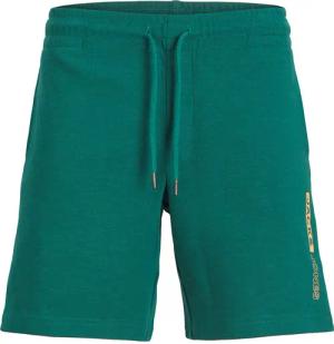 Shorts Jack & Jones Neo