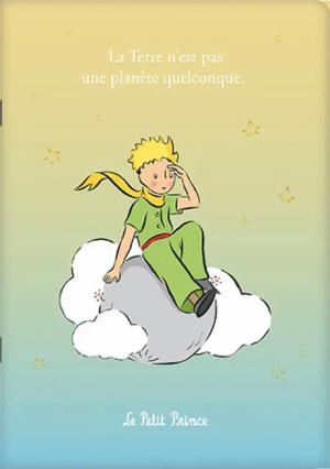 Notizbuch a5 le petit prince Kiub