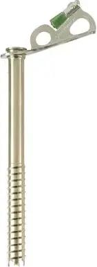 Black Diamond Express Ice Screw 13 cm - Eisschraube 22 cm