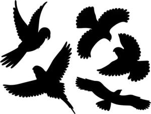 Gardigo Aufkleber Gardigo Vogel Silhouetten 5