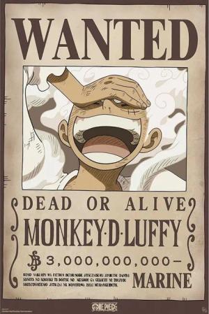 One Piece Anime Poster Monkey D.