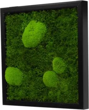 Moos-Design Bilderrahmen Moos Bild Forest Design