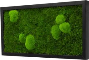 Moos-Design Bilderrahmen Moos Bild Forest Design