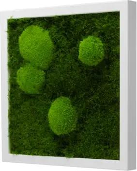 Moos-Design Bilderrahmen Moos Bild Forest Design