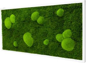 Moos-Design Bilderrahmen Moos Bild Forest Design